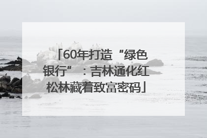 60年打造“绿色银行”：吉林通化红松林藏着致富密码