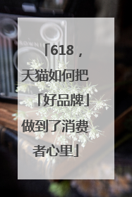618，天猫如何把「好品牌」做到了消费者心里