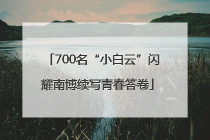700名“小白云”闪耀南博续写青春答卷