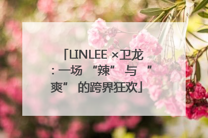 LINLEE ×卫龙：一场 “辣” 与 “爽” 的跨界狂欢