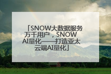SNOW大数据服务万千用户，SNOW AI量化——打造亚太云端AI量化
