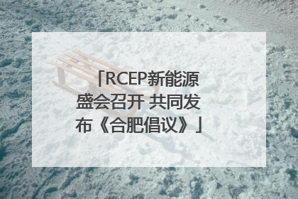 RCEP新能源盛会召开 共同发布《合肥倡议》